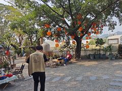 -长洲岛都市农业公园