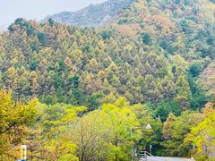 -百里山水画廊