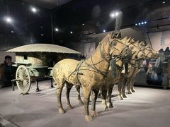-秦始皇帝陵博物院-丽山园