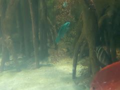 -苏州海洋馆
