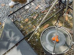 -J Create城市露营咖啡·简餐·宠物(上海动物园店)