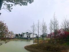 -金卉庄园