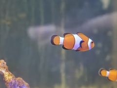 -太奥幻太奇海洋馆