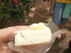 -詹爷爷乌节路街头冰淇淋