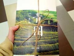 青团-阮大兴糕团(杭州西湖银泰百货店)
