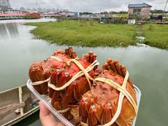-君豪蟹都·湖景·农家乐(蟹舫苑店)