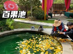 -郑州银基黄帝宫御温泉