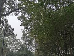 -东湖落雁景区