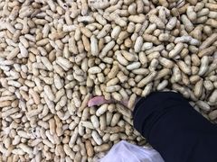 -雨润发超市(五常店)