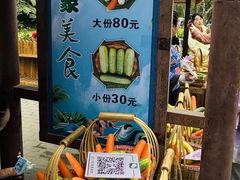 -野象谷景区