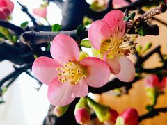 -颐和园