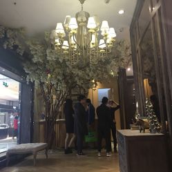-侨治发型