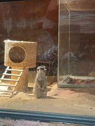 -酷嗒动物文化乐园(cutezoo西溪乐天城店)