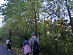 -吉林市朱雀山国家森林公园