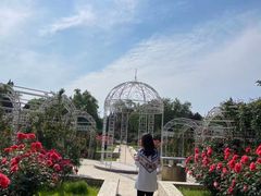 -石家庄市植物园