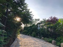 -南翠屏公园
