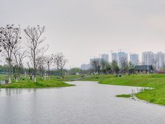 -洋湖国家湿地公园