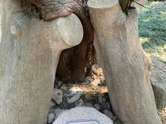 -叶家花园
