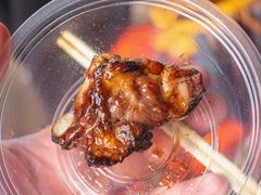 -大夫山顺驰自助烧烤场