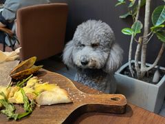 -沏点Trattoria意大利餐厅(新街口店)