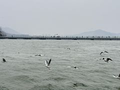 -云龙湖旅游景区