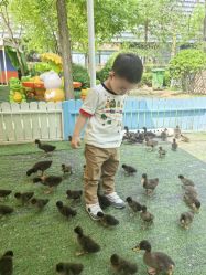 -萌宠亲子动物乐园(槐房万达店)