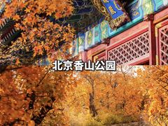 -香山公园