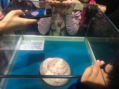 -青岛贝壳博物馆