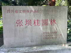 -张坝桂圆林公园