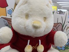 -廣九广味食堂-猪肚鸡火锅(曼哈顿店)