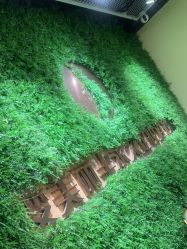 -变美丽半永久纹眉连锁·机器野生眉•洗眉