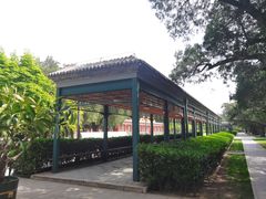 -北京市劳动人民文化宫(太庙)