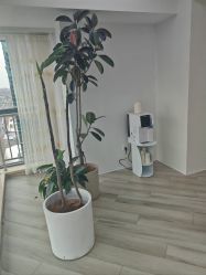 -HEYAN荷妍专业脱毛连锁机构
