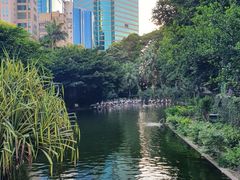 -九龙公园