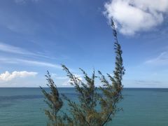 -广东惠东海龟国家级自然保护区