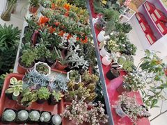 -兴芮温泉度假区