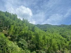 -将军关探险漂流