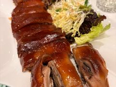 脆脆BB猪-翠园(北京王府中环店)