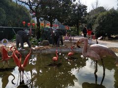 -无锡动物园·太湖欢乐园