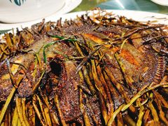 -铜锣湾·有麝自然香(重庆新天地店)