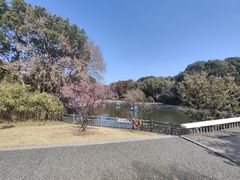 -小杨生煎(金山百联购物中心3楼店)