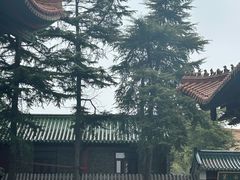 -高旻寺