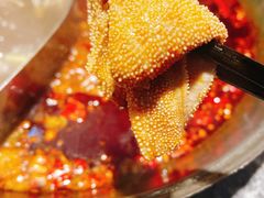 -大虎重庆老火锅(正弘城店)