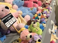 -济州岛泰迪熊博物馆