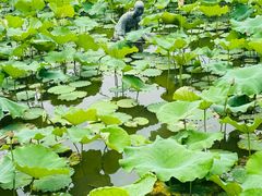 -星巴克(西湖天地店)