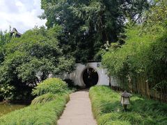 -杭州植物园