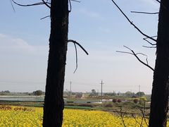 -花迹(富春江东街店)
