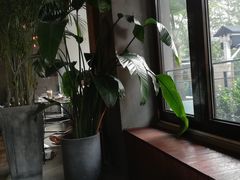 -the rug 飞毯 (朝阳公园店)