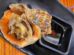 朝鲜海螺-丹东特色烤肉(学府路一部店)
