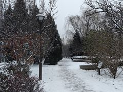 -海棠花溪(元大都城垣遗址公园)